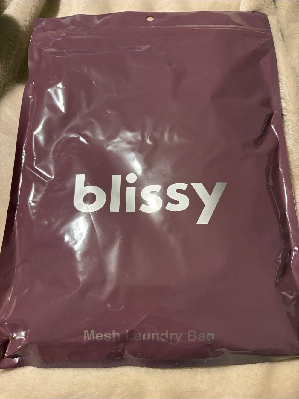 Bliss Mesh Laundry Bag in Plum